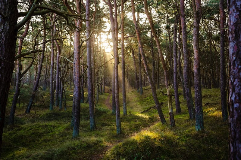 Sustainability Initiatives
